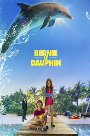 Bernie le dauphin