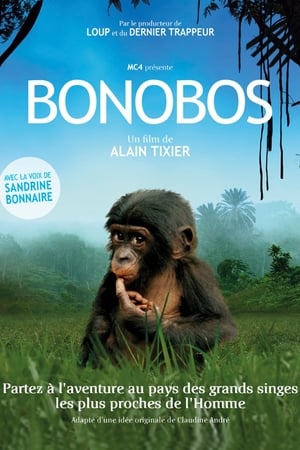 Bonobos