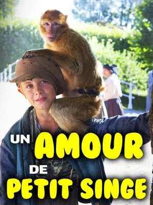 Un amour de petit singe