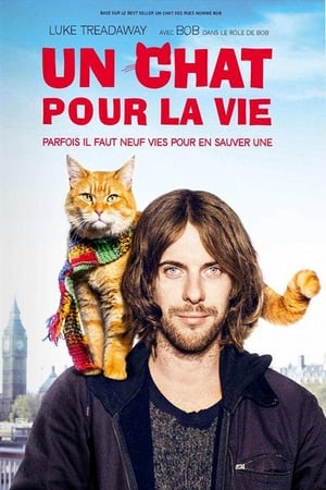 Un chat pour la vie